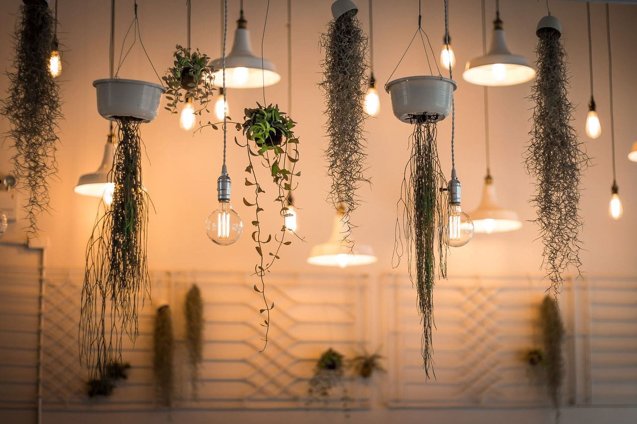 series of lights illuminating a cozy space